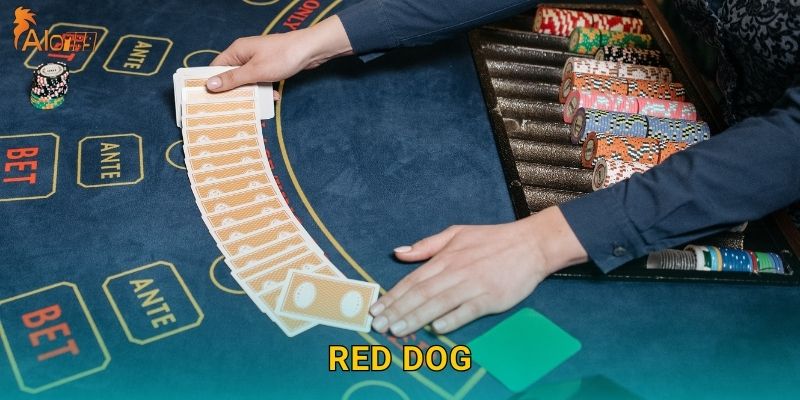 Red Dog Alo789 sh – Trò Chơi Bài Đơn Giản Hấp Dẫn