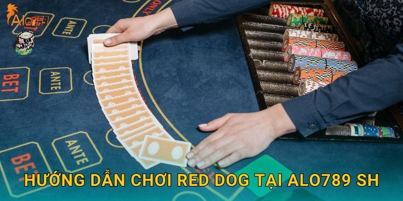 Hướng dẫn chơi Red Dog tại Alo789 sh