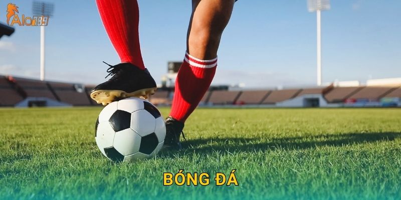 Bóng Đá Alo789 sh – Cá Cược Đỉnh Cao Mọi Giải Đấu
