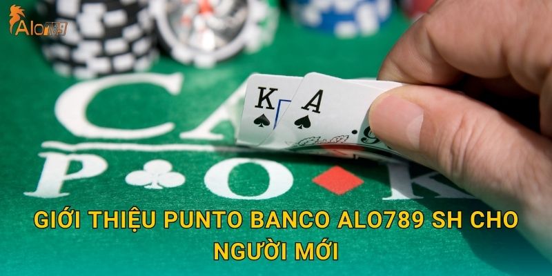 Giới thiệu Punto Banco Alo789 sh cho người mới
